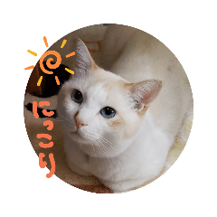 [LINEスタンプ] 鈴蘭空間のモデルはくちゃんから一言