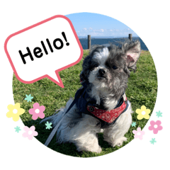 [LINEスタンプ] ごまさんスタンプ③