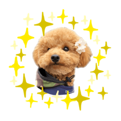 [LINEスタンプ] といぷーのまろくん