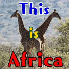 [LINEスタンプ] This is Africa