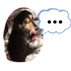 [LINEスタンプ] まるこ8