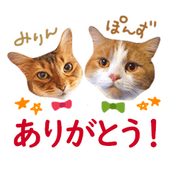 [LINEスタンプ] ぽんずとみりんの使いやすいスタンプ