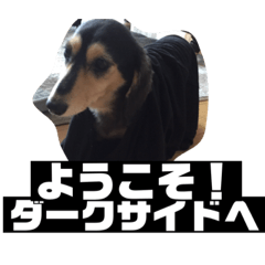 [LINEスタンプ] まるこ9