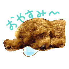 [LINEスタンプ] ずちゃ