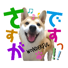 [LINEスタンプ] 柴犬ちょろのスタンプ②～Choro's Life～