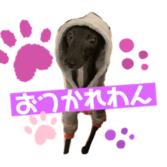 [LINEスタンプ] イタグレ菜々緒スタンプの画像（メイン）
