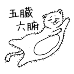 ネコって毛が生えてるって知ってた？？