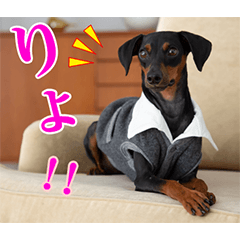 [LINEスタンプ] ミニチュアピンシャー 秋と冬