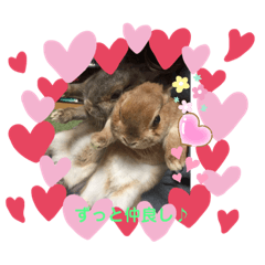 [LINEスタンプ] うさぎなのですよ
