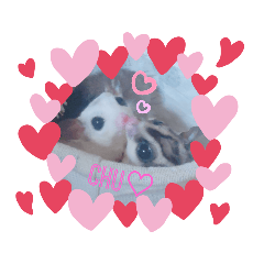 [LINEスタンプ] うちのモモンガvol．2