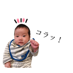 [LINEスタンプ] ゆがくんスタンプ