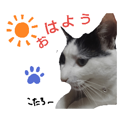 [LINEスタンプ] うちのこたろーPart14