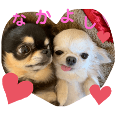 [LINEスタンプ] こも☆ひよ