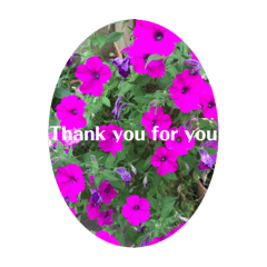 [LINEスタンプ] thank you stanp 1の画像（メイン）