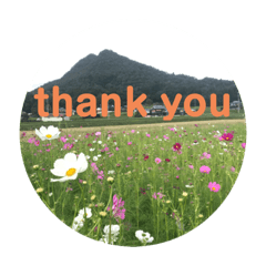 [LINEスタンプ] thank you stanp Japanese flower 2