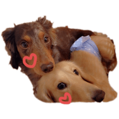 [LINEスタンプ] ライフとジョン