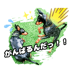 [LINEスタンプ] トイマン☆うーさん時々たつパパ