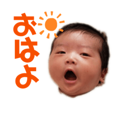 そうたすたんぷ☆。