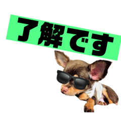 [LINEスタンプ] アロンくんはイケイケ