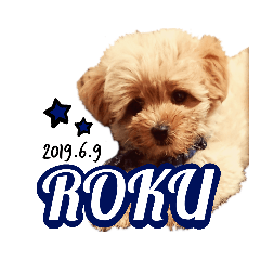 [LINEスタンプ] プーマル♡ROKU