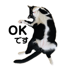 [LINEスタンプ] ナナマツの日々
