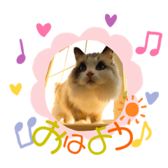 [LINEスタンプ] メルちゃんデビュー