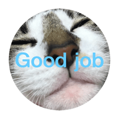 [LINEスタンプ] Good job stanp cat