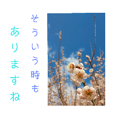[LINEスタンプ] 花とハムスター