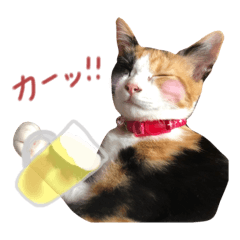 [LINEスタンプ] ぷぷのお返事スタンプ