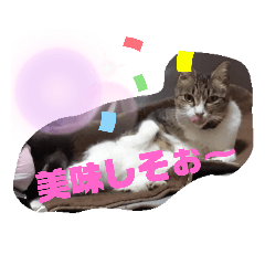 [LINEスタンプ] ミミ子の日常