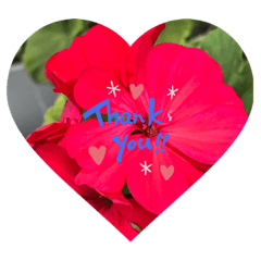 [LINEスタンプ] thank you stanp Japanese flower 3