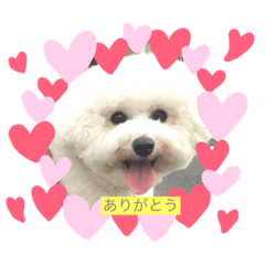 [LINEスタンプ] ☁️SORATO☁️