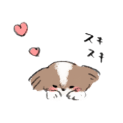 [LINEスタンプ] シーズー ココさんの暮らし