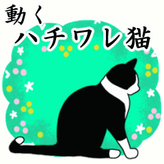 [LINEスタンプ] ハチワレ猫☆あいさつ・返事▷動くの画像（メイン）