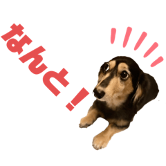[LINEスタンプ] まるこ12