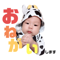 [LINEスタンプ] ここ たん