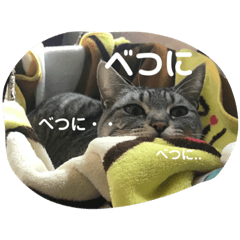 [LINEスタンプ] すぽんぷっ