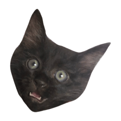 [LINEスタンプ] 大阪の黒猫ちゃん