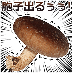 [LINEスタンプ] 最強のしいたけ