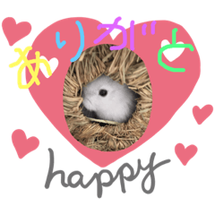 [LINEスタンプ] ウサギーず 日常 ① byNuts