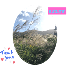 [LINEスタンプ] Japanese autumn  thank you stanp