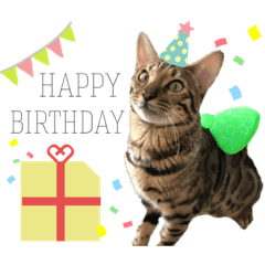 [LINEスタンプ] ベンガル レオンkun♪