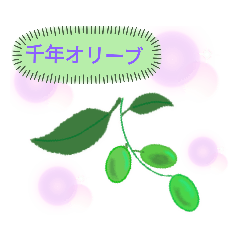 [LINEスタンプ] ビストロ オリーブ