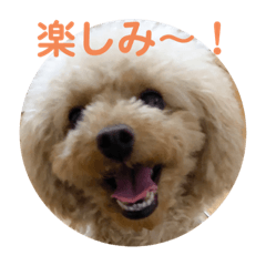 [LINEスタンプ] ぼく、福丸です。その5
