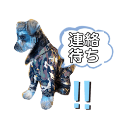 [LINEスタンプ] 仔犬のカール！