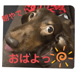 [LINEスタンプ] ジェイドさん★2