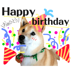 [LINEスタンプ] 柴犬 おはぎ  vol.2