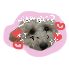 [LINEスタンプ] むぎさんの日常パート1