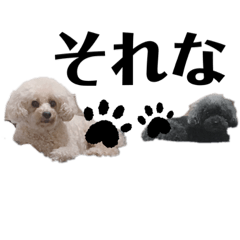 [LINEスタンプ] ひまわりとたんぽぽ②