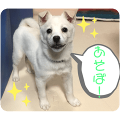 [LINEスタンプ] 蓬さんスタンプ①